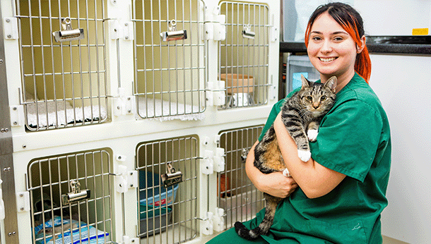 nurse with cat